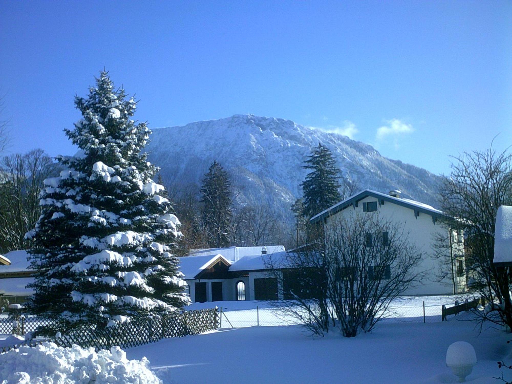 Haus Alpenblick Inkl. Chiemgaukarte Lejlighed Ruhpolding Eksteriør billede